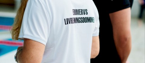Erhvervslivredderdommerseminar