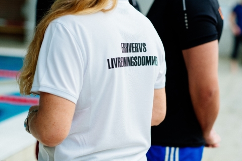 Erhvervslivredderdommerseminar 2025